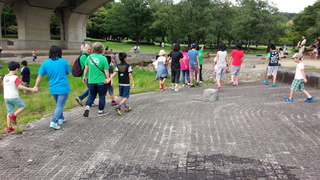 IMG_20150905_152407.jpg
