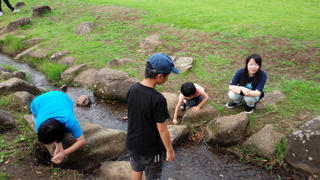 IMG_20150905_153726.jpg