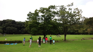 IMG_20150905_154358.jpg